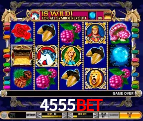 Live Casino 4555bet